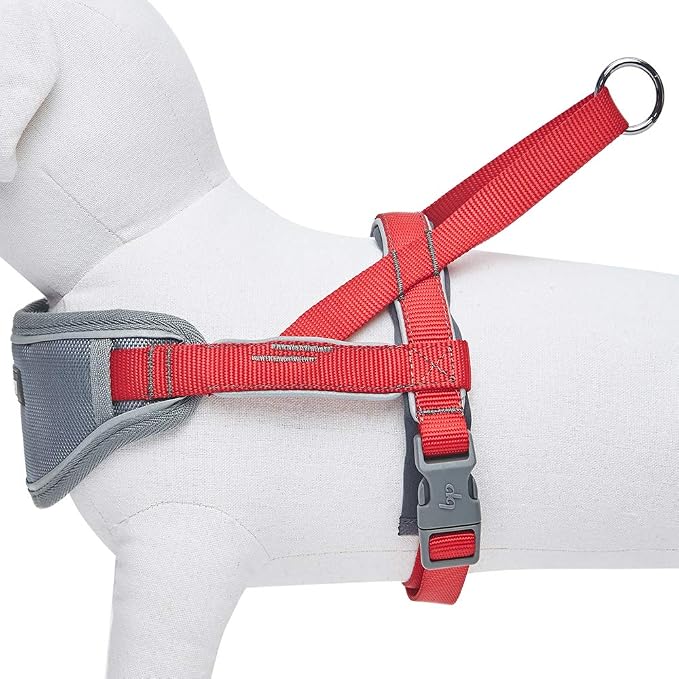 Blueberry Pet 8 Colors Soft & Comfy 3M Reflective Strips Padded Dog Harness Vest, Chest Girth 16.5" - 21", Red, Small, Nylon Adjustable Training Harnesses for Dogs