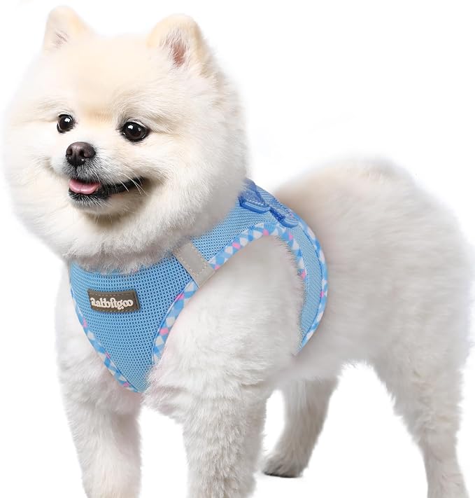 rabbitgoo Step-in Small Dog Harness, Puppy Vest for Small Sized Pet | Easy Put on and off, Lightweight, Soft, Breathable Quick-Dry Air Mesh for Comfortable Secure Walking, Blue & Plaid Trim S