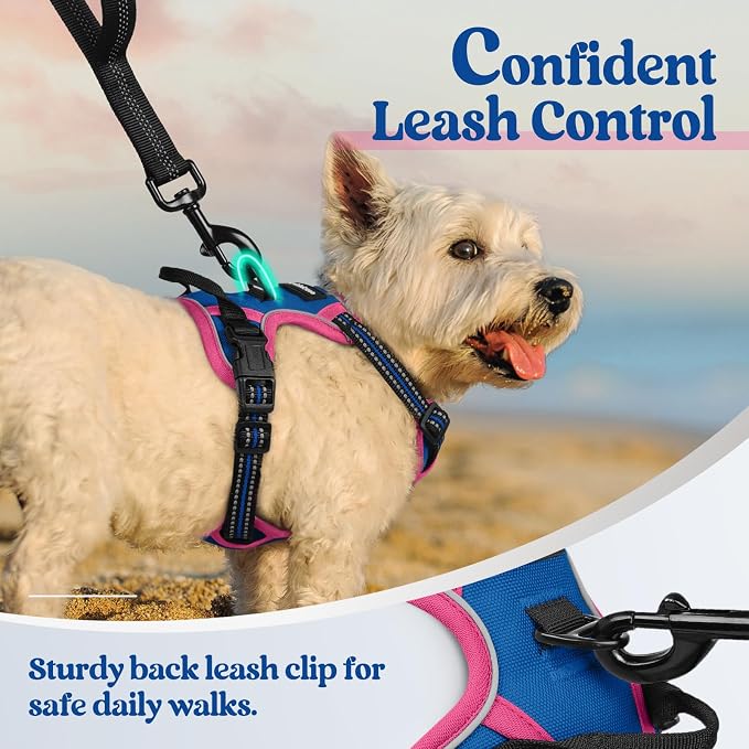 rabbitgoo Dog Harness, No Pull for Small Dogs with 2 Leash Clips, Pet Vest | No Choke with Handle, Adjustable Soft Padded, Reflective, Easy Control for Walking, Blue & Hot Pink, X-Small