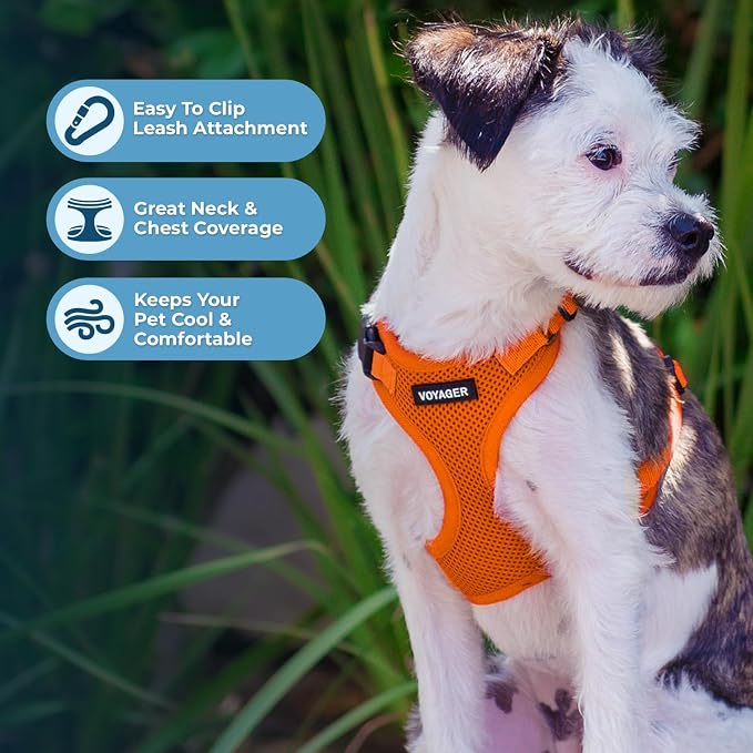 Best Pet Supplies Voyager Step-in Lock Pet Harness w Reflective Pet Leash Combo Set with Neoprene Handle 5ft - Supports Small, Medium and Large Breed Puppies/Cats - Orange, S