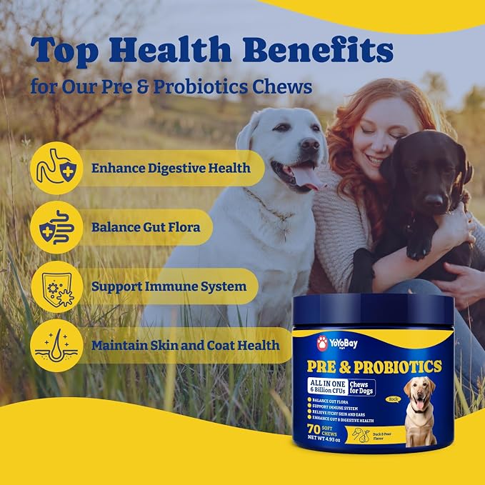 Probiotics for Dogs, Dog Gut, Immune & Skin Health Support Supplement