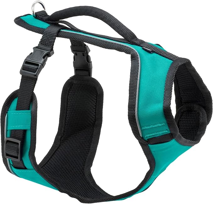 PetSafe EasySport Dog Harness, Teal Blue, Small | Padded, Elastic Neckline Harness for Active Dogs, Reflective Piping for Visibility, Top Control Handle, Rear Leash Clip