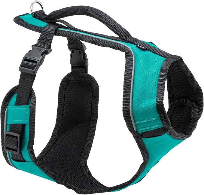 PetSafe EasySport Dog Harness, Teal Blue, Medium | Padded, Elastic Neckline Harness for Active Dogs, Reflective Piping for Visibility, Top Control Handle, Rear Leash Clip