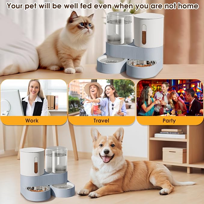 Automatic Gravity Cat Dog Feeder and Water Dispenser with 304 Stainless Steel Bowls 2, 2 in, Stainless Steel, Blue