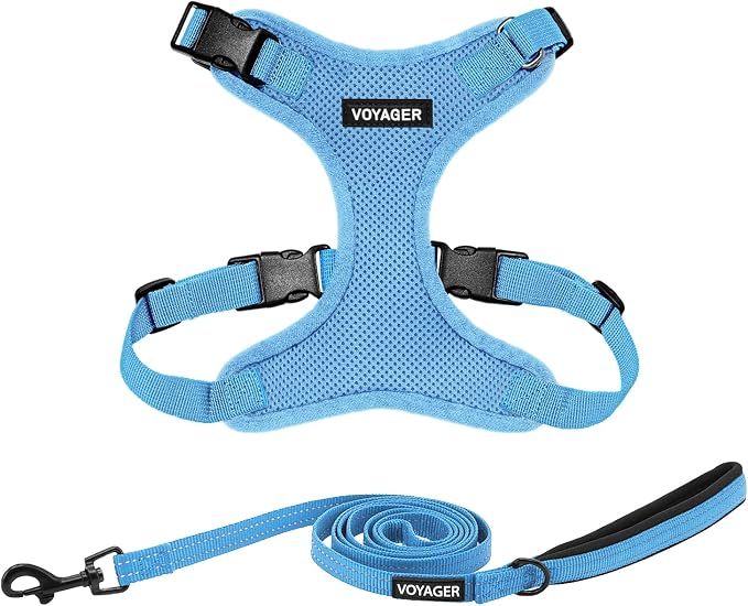 Best Pet Supplies Voyager Step-in Lock Pet Harness w Reflective Pet Leash Combo Set with Neoprene Handle 5ft - Supports Small, Medium and Large Breed Puppies/Cats - Baby Blue Set, L