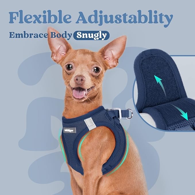 rabbitgoo Step-in Small Dog Harness, Puppy Vest for Small Sized Pet | Easy Put on and off, Lightweight, Soft, Breathable Quick-Dry Air Mesh for Comfortable Secure Walking, Navy Blue XXS