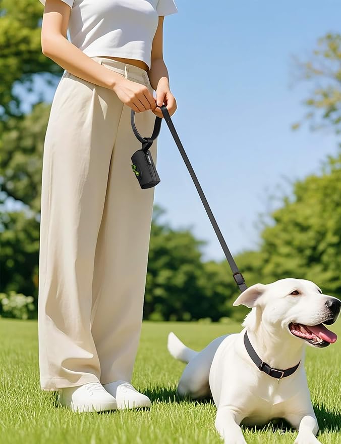 Gobeigo【Easy Pull-Out Version】 Dog Poop Bag Holder,【2-in-1 Hard Plastic Insert & Soft Fabric Bag】Snap-On Strap Dispenser Fits Retractable and Standard Leashes with 1 Roll Bags (Black)