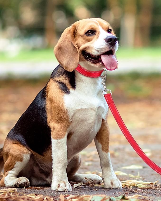 Taglory Reflective Dog Leash for Medium Large Dogs, 1in x 6ft, Red | Ideal for Night Walking, Strong for Sudden Pulls, Lightweight & Gentle on the Neck, Soft Padded Handle