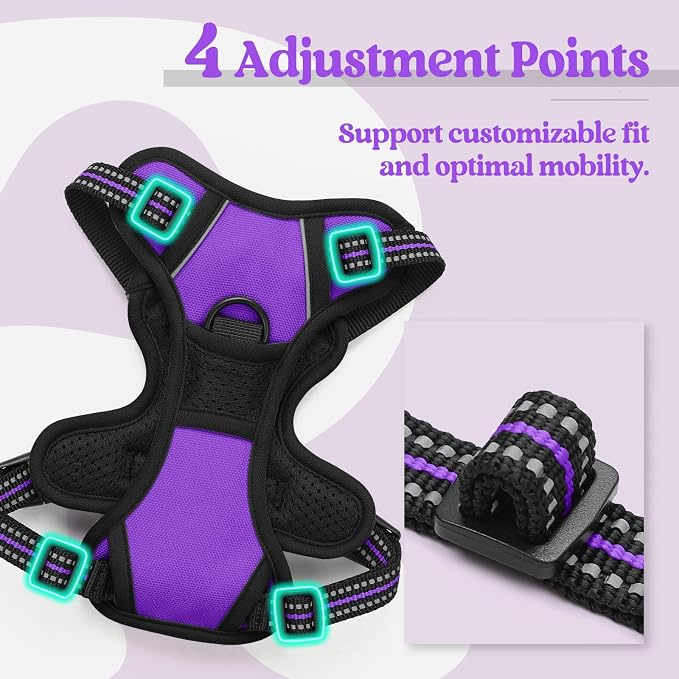 rabbitgoo Dog Harness No Pull with 2 Leash Clips, Adjustable Soft Padded, Reflective Oxford No Choke Pet Vest with Easy Control Handle for Puppy, Purple,XS | No Choke with Handle, Adjustable Soft Padded, Reflective, Easy Control for Walking, Purple, X-...