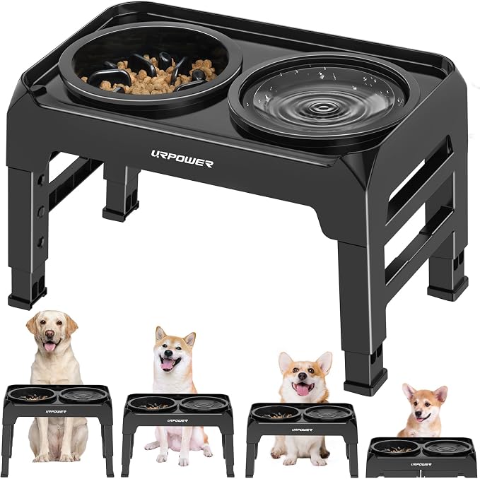 URPOWER Raised Dog Bowls 4 Height Adjustable Elevated Bowl Stand with Stainless Steel Water Bowl Non-Slip Dog Food Bowls Stand for Small Medium Large Dogs and Pets