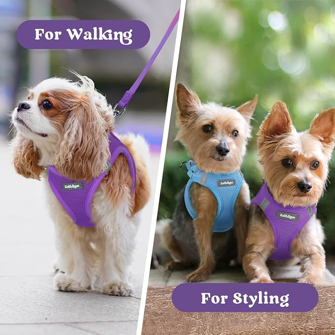 rabbitgoo Step-in Small Dog Harness, Puppy Vest for Small Sized Pet | Easy Put on and off, Lightweight, Soft, Breathable Quick-Dry Air Mesh for Comfortable Secure Walking, Purple XS