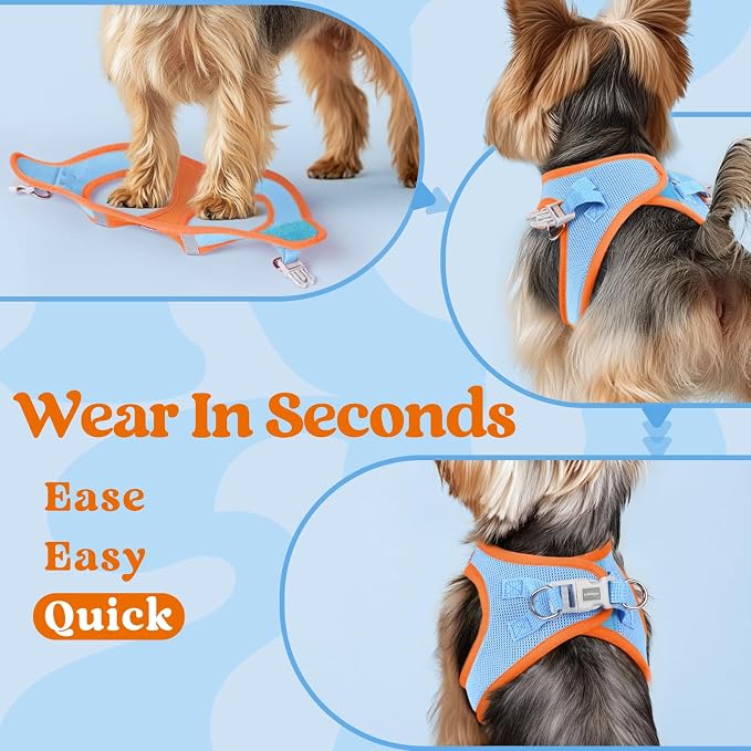 rabbitgoo Step-in Small Dog Harness, Puppy Vest for Medium Sized Pet | Easy Put on and off, Lightweight, Soft, Breathable Quick-Dry Air Mesh for Comfortable Secure Walking, Blue & Orange XXL