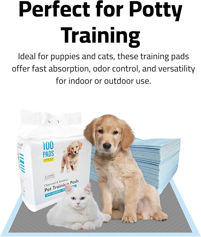 Epsilon Activated Charcoal Bamboo Odor Control Puppy Pads – 100 Count, Large Disposable Pee Pads w/ Super Quick Absorbent & 6-Layer Leak-Proof for Puppies & Cats - 24 x 24