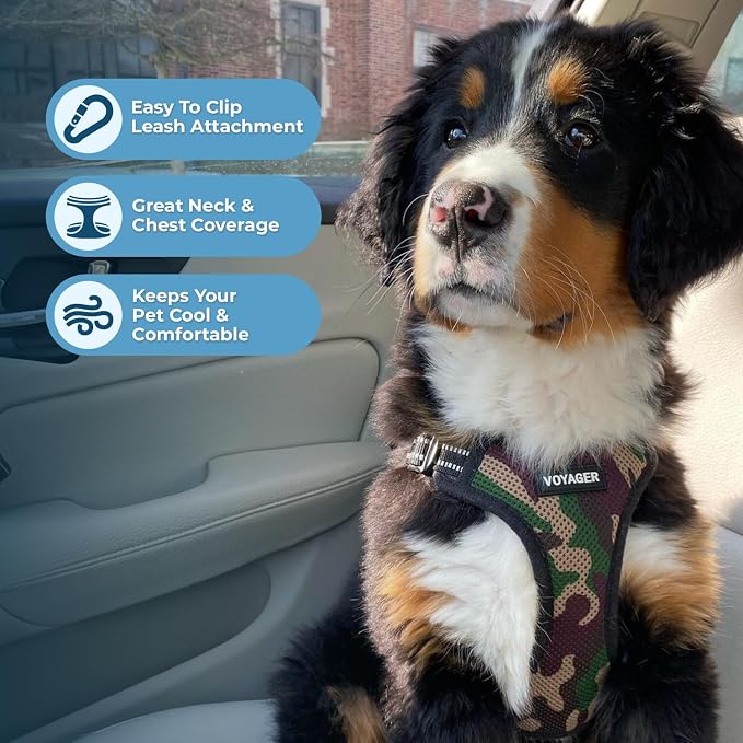 Best Pet Supplies Voyager Adjustable Step-in Flex Breathable Mesh Dog Harness for Small Medium Large Dogs Leash Set (Army Base), XS