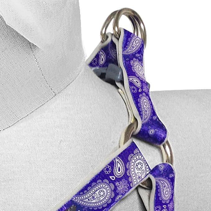 Blueberry Pet 5 Colors Soft & Comfy Step-in Paisley Flower Print Dog Harness, Chest Girth 20" - 26", Violet, Medium, Adjustable Harnesses for Dogs