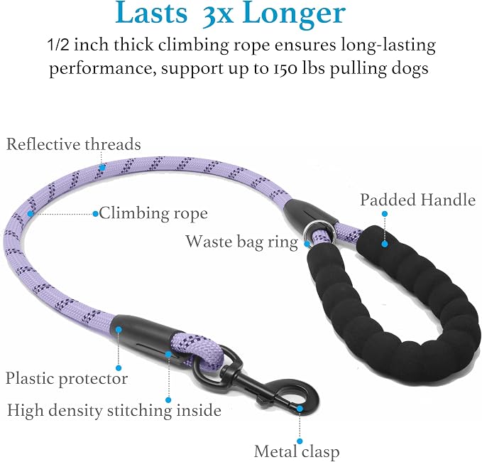 iYoShop Double Dog Leash, 360° Swivel, No Tangle, Large, Lavender | Dual Leash for Two Dogs, Split Leash, Shock-Absorbing Bungee, Padded Handle, Heavy-Duty Rope