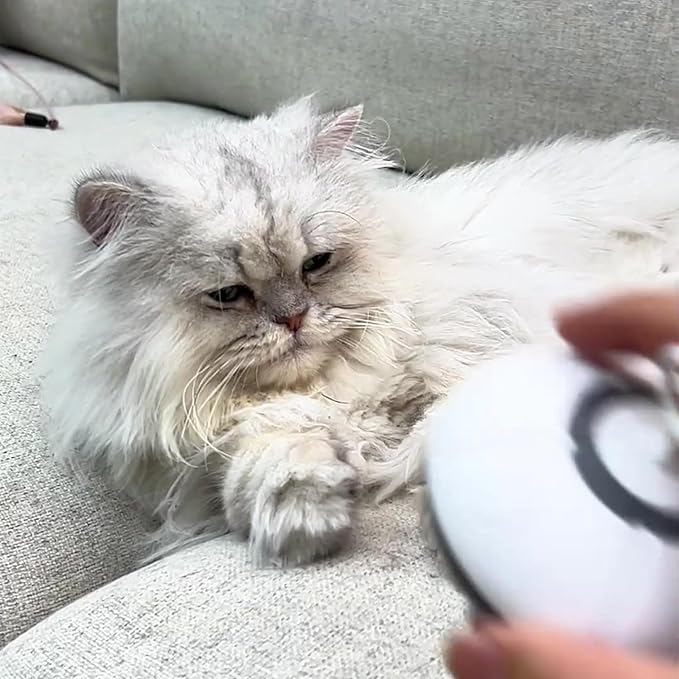 Cats Comb Pet Grooming Tool Rechargeable Sprayer Brush for Loose Furs Removal Cats Dogs Massage Grooming Pet Hair with Sprayer
