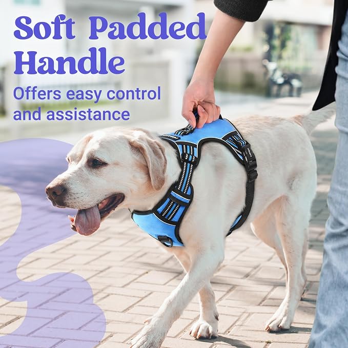 rabbitgoo Large Dog Harness, Easy Wear with 3 Buckles and Lift Handle | No Pull with Front Clip for Walking, Adjustable Soft Padded, Reflective, Easy Control, Light Blue, Small