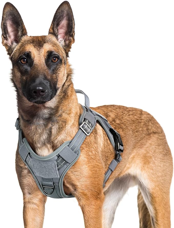 rabbitgoo Tactical Dog Harness for Large Dogs, No Pull Service Pet Vest | Military Molle System & Easy Control Handle, Adjustable and Reflective for Walking and Training, Grey, X-Large