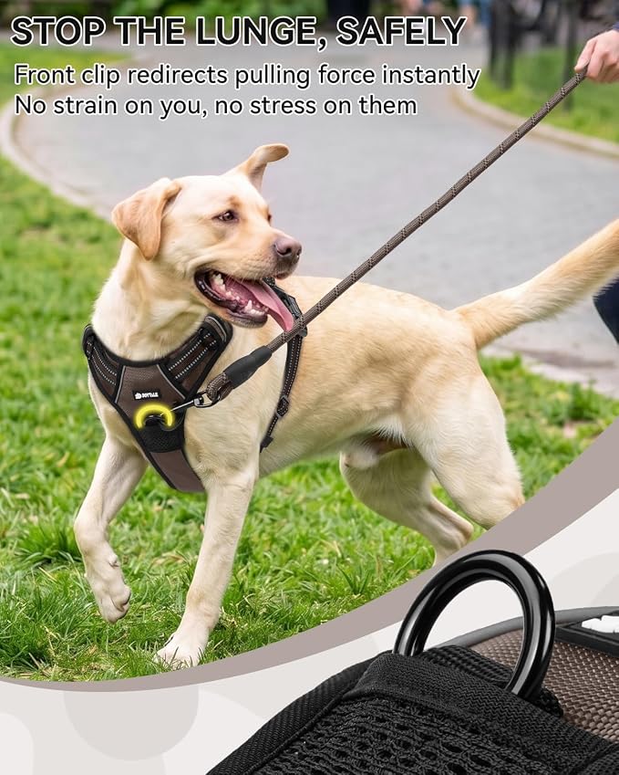 Joytale No Pull Dog Harness & Seat Belt, Easy On 3-Buckle, M, Brown | Front Clip Reduces Pulling, Escape-Resistant Design, Adjustable Fit, Soft Padding for Comfort, Secure Tether for Safer Travel