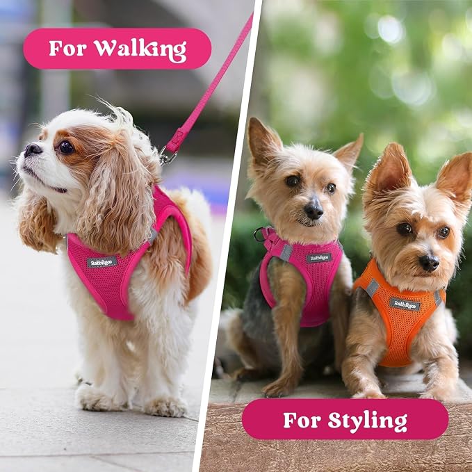 rabbitgoo Step-in Small Dog Harness, Puppy Vest for Small Sized Pet | Easy Put on and off, Lightweight, Soft, Breathable Quick-Dry Air Mesh for Comfortable Secure Walking, Rose Red XXS