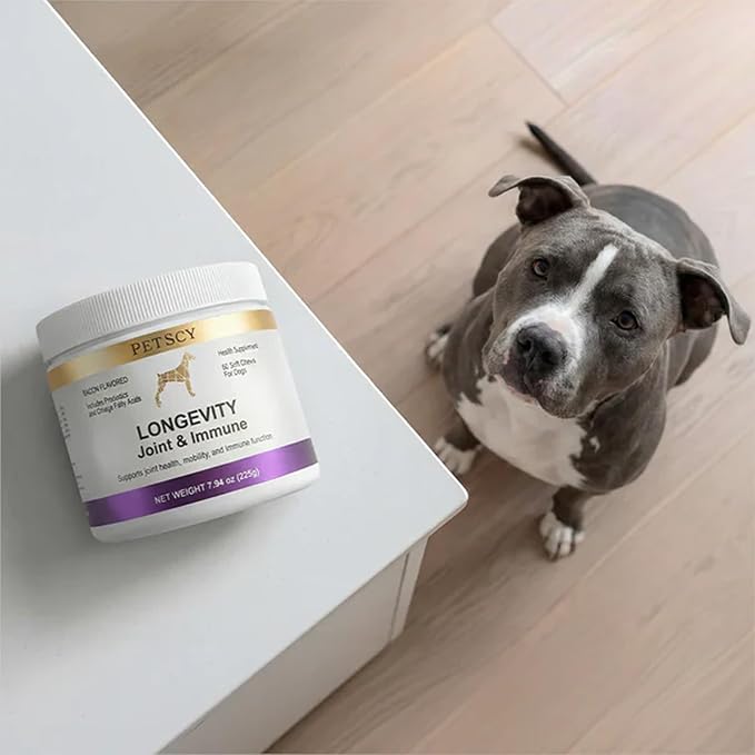 Petscy Longevity Hip & Joint + Immune Support Chews for Dogs - 3.75g Chew - High Dose Glucosamine, MSM, Chondroitin, Green Lipped Mussel, Omega 3, Probiotics - 60 Chews (Small & Medium Dogs)
