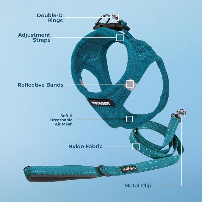 Best Pet Supplies Voyager Step-in Air All Weather Mesh Harness and Reflective Dog 5ft Leash Combo with Neoprene Handle, for Small, Medium and Large Breed Puppies - Turquoise, X-Small
