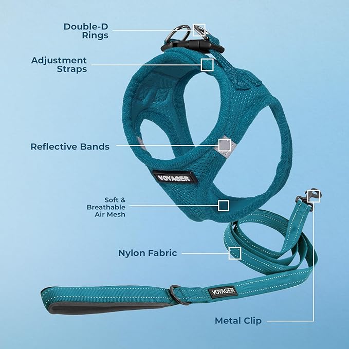 Best Pet Supplies Voyager Step-in Air All Weather Mesh Harness and Reflective Dog 5ft Leash Combo with Neoprene Handle, for Small, Medium and Large Breed Puppies - Turquoise, Small