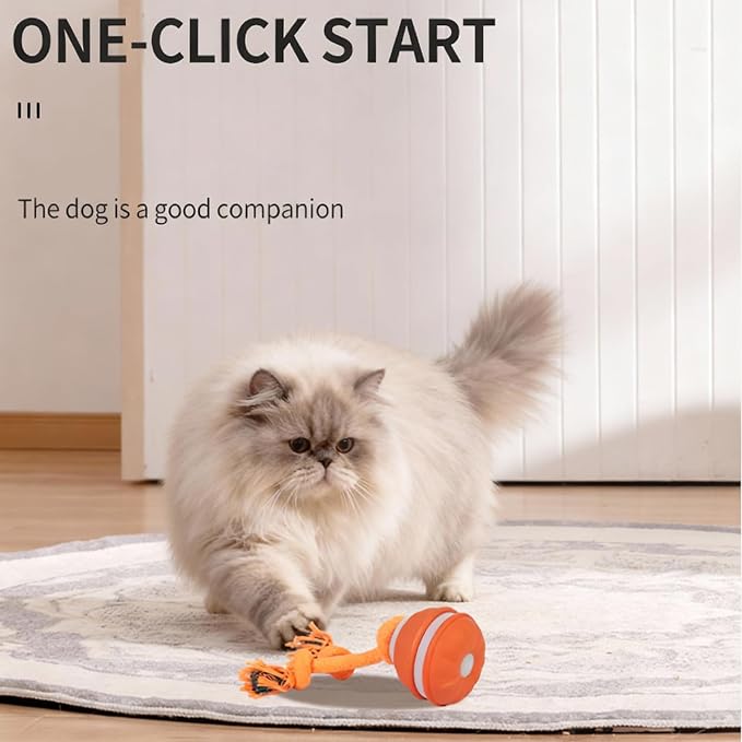 2 Pack Interactive Dog & Cat Ball, Auto Chirping, Rechargeable, Self Play | Motion activated, chirp sound, USB-C fast charge, indoor play, boredom relief for small dog & cat, blue orange 2 pack