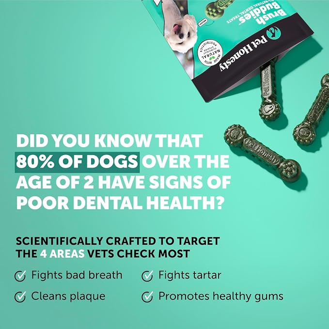 Pet Honesty Brush Buddies All Natural Dog Dental Treats for Dogs – Long Lasting Dental Sticks for Dogs, Teeth Cleaner, Breath Freshener, Plaque & Tartar Remover – Extra Small Dogs (40 Count)