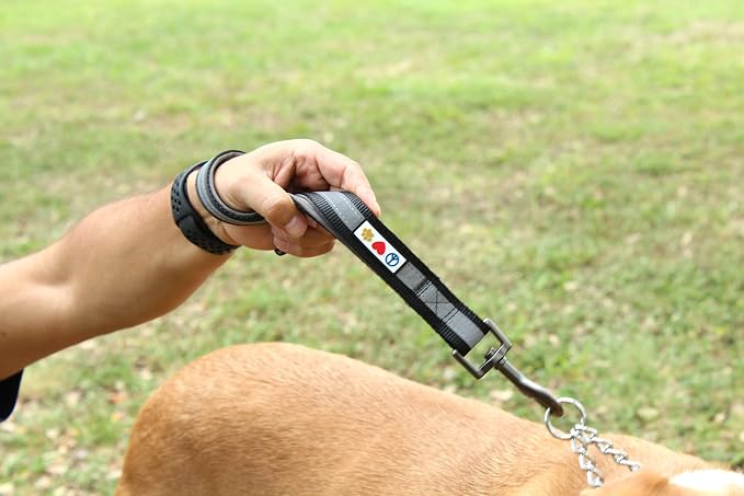 Pawtitas Short Reflective Dog Leash with Padded Handle for Heavy Duty Training Medium Large and Extra Large Dogs | Nylon Dog Lead with Webbing Highly Reflective Stripe - Camouflage Grey Leash