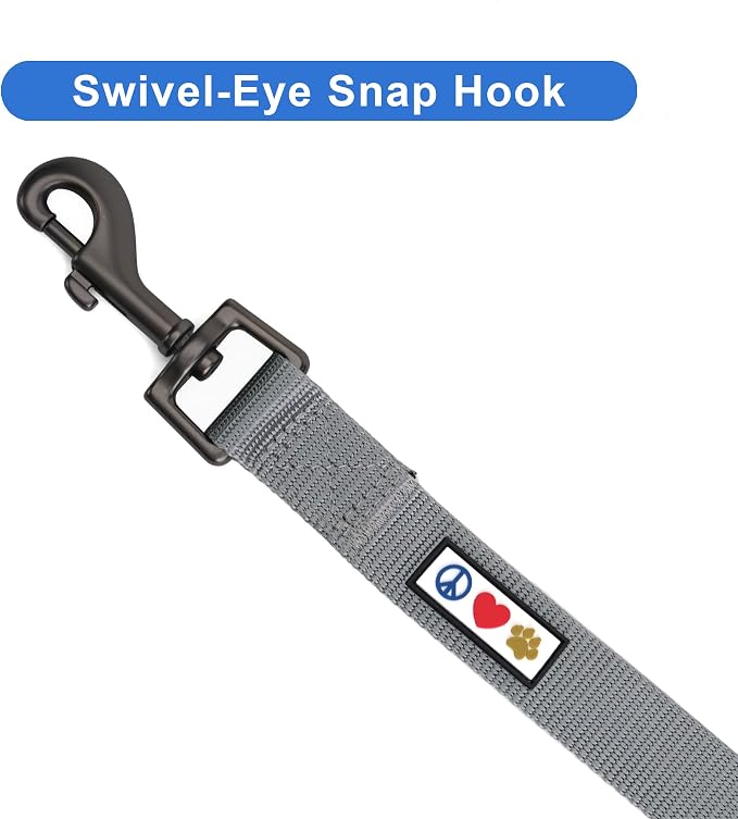 Pawtitas Personalized 6 ft Grey Dog Leash M/L Custom Name and Phone Embroidery Strong Nylon Leash for Medium and Large Breeds