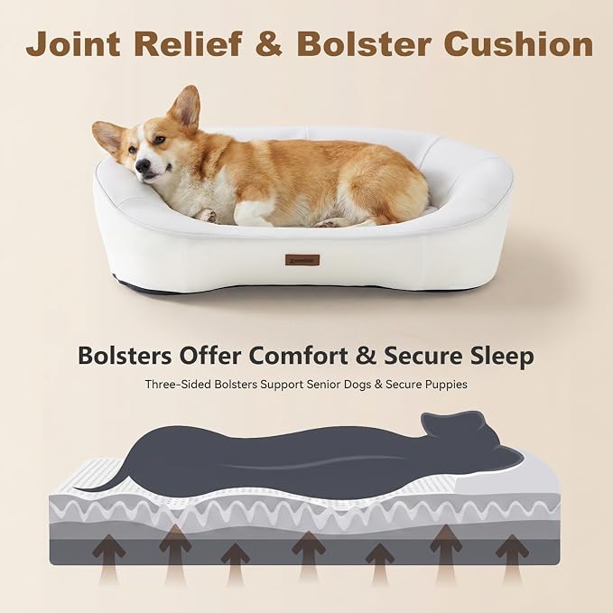 ZOMISIA Orthopedic Memory Foam Dog Sofa Bed - Small &amp; Medium (up to 60 lbs), 2 Covers