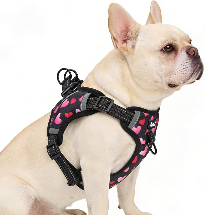 PUPTECK Dog Harness Small Sized Dog, Step in Adjustable Reflective Dog Vest Harness Escape Proof, No Pull Soft Padded Harness Easy Control, Heart, M