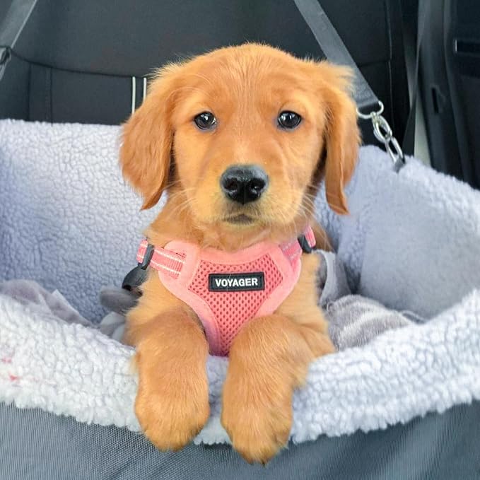 Voyager Step-in Flex Adjustable Dog Harness - Pink, Small | 15 - 18" in Chest, Fully Adjustable, Reflective Bands, All Weather Breathable Air Mesh, Lightweight, Fast Drying
