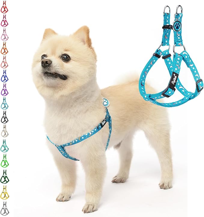 PUPTECK No Pull Dog Harness Small Sized Step-in Adjustable Puppy Vest | Soft Webbing Basic Halter with ID Tag for Outdoor Walking