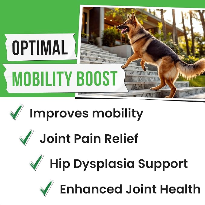 Glucosamine for Dogs - Joints Health Treats w/Omega Fish Oil - Natural Joint Pain Relief - Canine Hip and Joint Supplement w/Chondroitin + MSM + Turmeric + Calcium - 240 Beef Chews