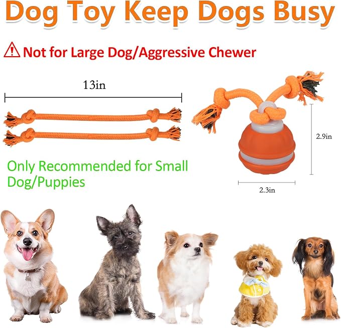 2Pack Interactive Dog Toys for Small Dogs – Peppy Pet Ball & Chase Buddy Dog Toy Active Rolling Puppy Toys to Keep Them Busy, Daily Training Interactive Puppy Toys