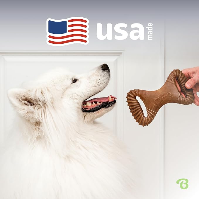 Benebone Dental Durable Dog Chew Toy for Aggressive Chewers, Real Chicken, Made in USA, Medium