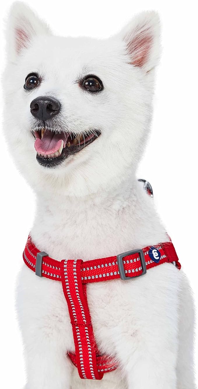 Blueberry Pet Essentials Step-in Reflective Back to Basics Dog Harness, Rouge Red, Chest Girth 16.5" - 21.5", Small, Adjustable Harnesses for Dogs