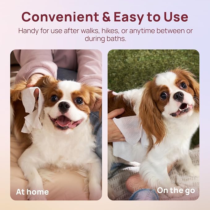 HICC PET Wipes for Dogs and Cats, Vet-Recommended Pets Cleaning Wipes, Deodorizing Hydrating, Nourishes Smoothes Fur, Fermented Coconut Oil Grooming Paws Body and Butt, Horse Skin Coat, Rose, 100pcs