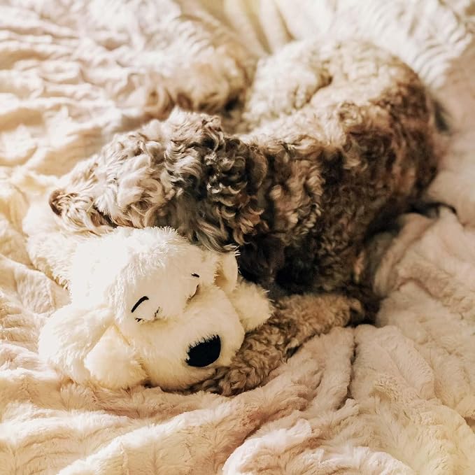 Snuggle Puppy SmartBeat Replacement Heart, Motion-Activated, 2 Modes | Replacement SmartBeat heart, motion-activated, 2 modes, 8-hour and 24-hour, batteries included, fits all Snuggle Puppy toys