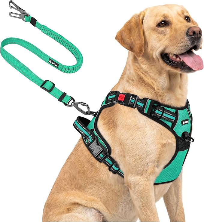 Joytale No Pull Dog Harness & Seat Belt, Easy On 3-Buckle, L, Teal | Front Clip Reduces Pulling, Escape-Resistant Design, Adjustable Fit, Soft Padding for Comfort, Secure Tether for Safer Travel