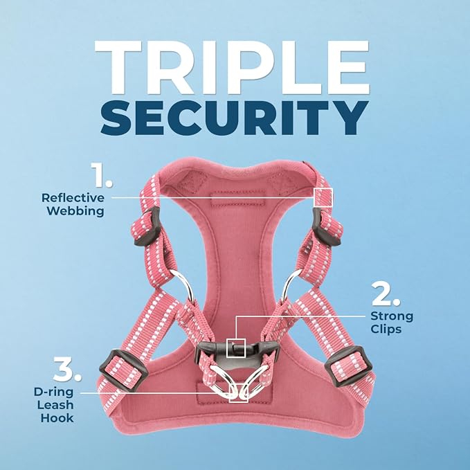 Best Pet Supplies Voyager Adjustable Step-in Flex Breathable Mesh Dog Harness for Small Medium Large Dogs Leash Set (Pink), M