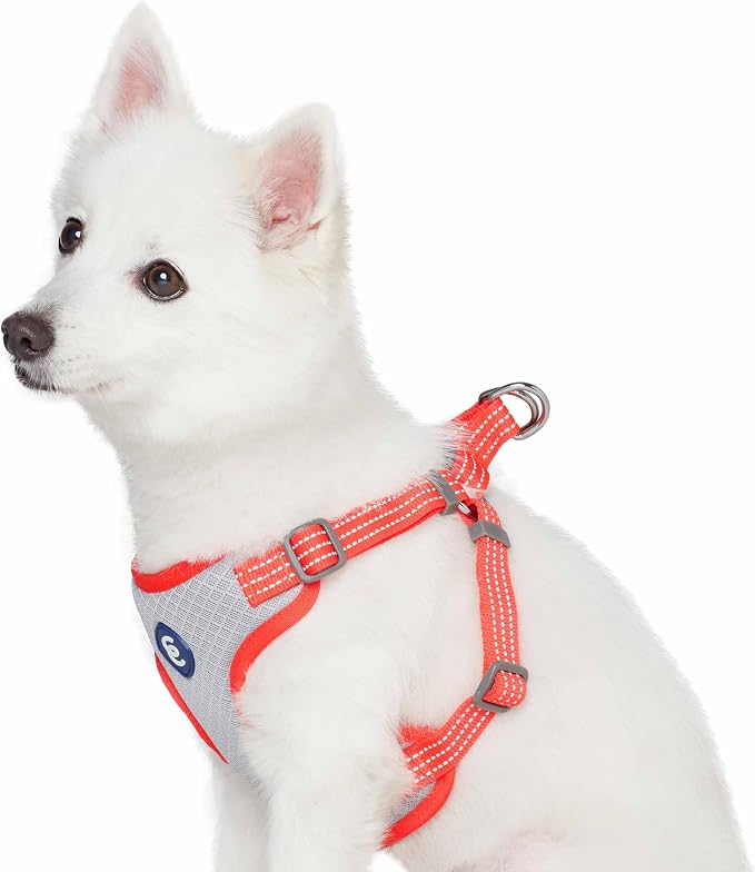 Blueberry Pet Essentials Back to Basics Reflective Dog Harness Vest, Fiery Red, Small, Adjustable Harnesses for Dogs