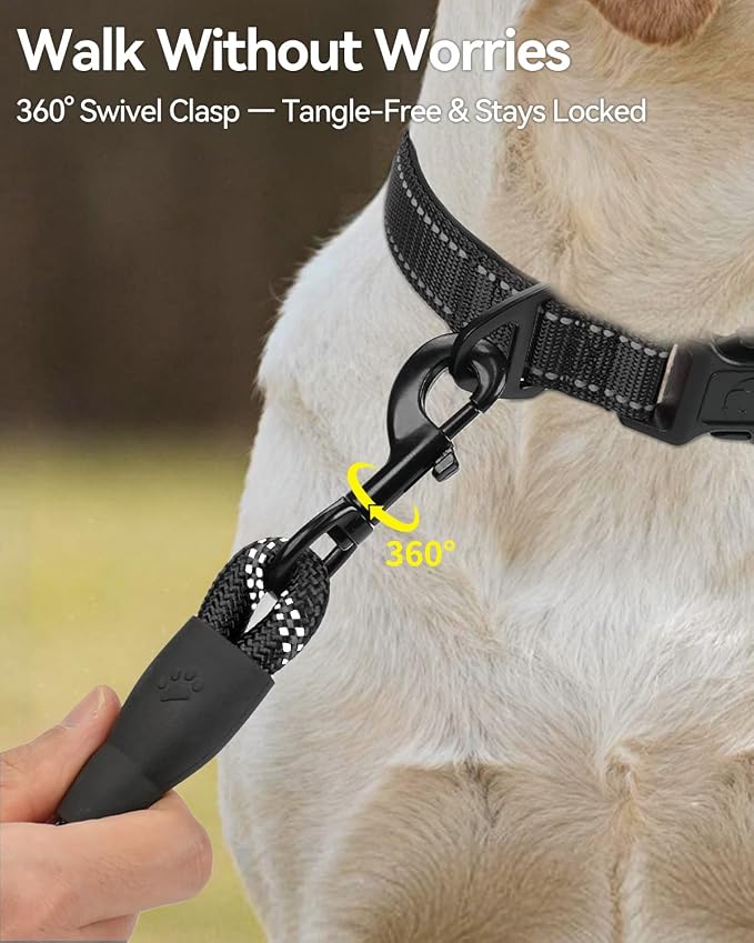 Joytale Rope Dog Leash for Small Dogs, Padded Handle, 6FT, Black | Reinforced Nylon Webbing, Comfort Grip Eases Hand Strain, Swivel Clip Prevents Tangles, Visible at Night, for Outdoor Walks