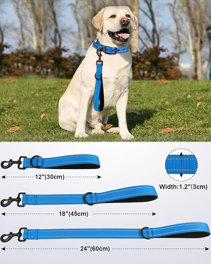 Joytale Short Dog Leash for Close Control & Training, 24", Aqua Blue | Padded Comfort Handle, Reinforced Nylon Webbing, Secure Metal Clip, for Busy Streets & Heel Training