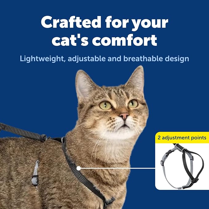 PetSafe Come With Me Kitty Harness and Bungee Leash, Harness for Cats, Medium, Black/Silver, CWMK-M-BLK | Adjustable 2-Point Fit Applies Gentle Pressure to Shoulders, Not Neck, for Small & Average Cats with 10.5 in - 14 in Girth
