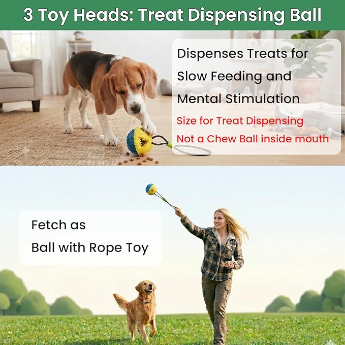 Dog Door Bungee Tug Toy, 4 Pieces, Small Medium Dogs 20 to 50lbs | 5ft Bungee Rope, Indoor & Outdoor Hanging, Tree Tether Rope for Yard, Spring Pole, Interactive, Tug of War, Ball