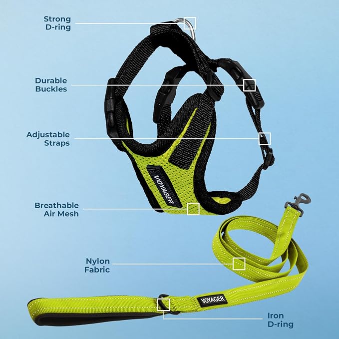 Best Pet Supplies Voyager Step-in Lock Pet Harness w Reflective Pet Leash Combo Set with Neoprene Handle 5ft - Supports Small, Medium and Large Breed Puppies/Cats - Lime Green/Black Trim Set, XL
